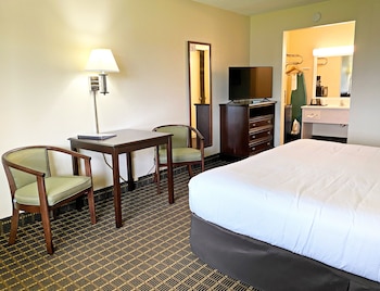 Single Room, 1 King Bed