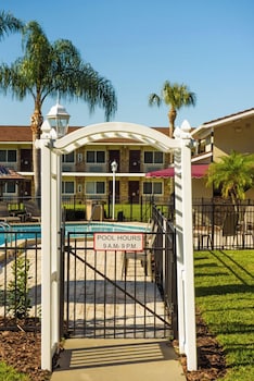 Premium Single Room, 1 King Bed, Bathtub Grab Bars, Ground Floor