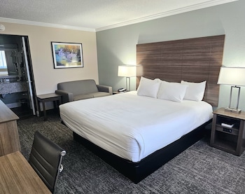 Premium Single Room, 1 King Bed, Bathtub Grab Bars, Ground Floor
