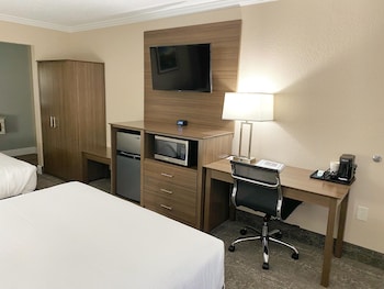 Premium Single Room, 1 King Bed, Ground Floor