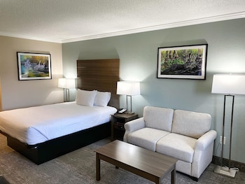 Premium Single Room, 1 Queen Bed, Ground Floor