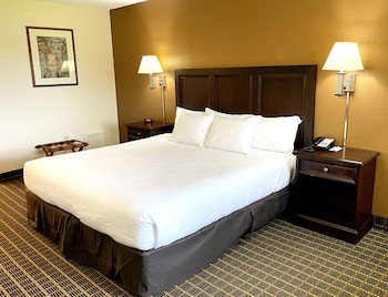 Single Room, 1 King Bed