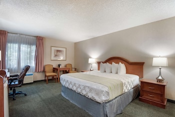 Standard Room, 1 King Bed, Accessible, Non Smoking