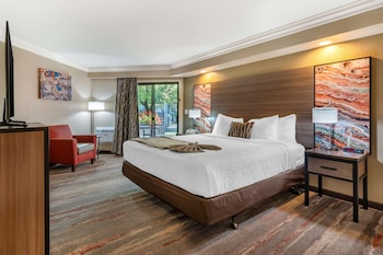 Suite, 1 King Bed, Non Smoking, Jetted Tub (with Sofabed)