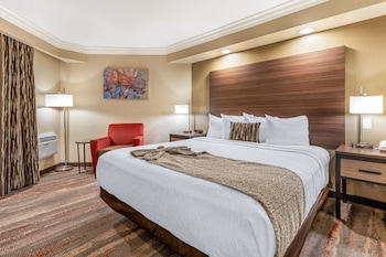 Standard Room, 1 King Bed, Accessible, Non Smoking