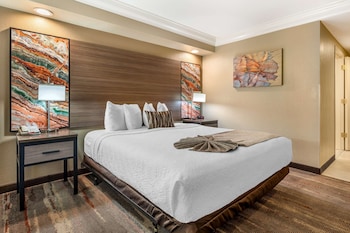 Suite, 1 King Bed, Non Smoking, Jetted Tub (with Sofabed)