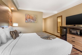 Standard Room, 1 King Bed, Accessible, Non Smoking