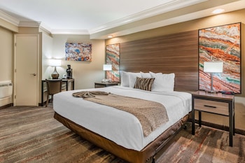 Suite, 1 King Bed, Non Smoking, Jetted Tub (with Sofabed)