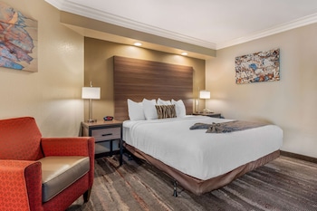 Standard Room, 1 King Bed, Accessible, Non Smoking