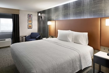Room, 1 King Bed (Roll-In Shower)
