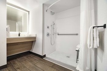 Room, 1 King Bed (Roll-In Shower)