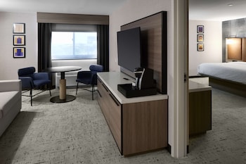 Suite, 1 King Bed