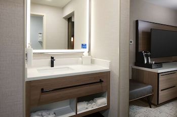 Room, 1 King Bed (Roll-In Shower)