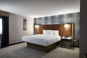 Room, 1 King Bed (Roll-In Shower)