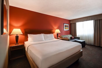 Standard Room, 1 King Bed with Sofa bed