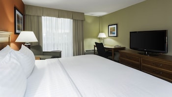 Standard Room, 1 King Bed with Sofa bed