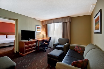 Suite, 1 King Bed with Sofa bed