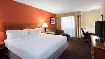 Standard Room, 1 King Bed with Sofa bed