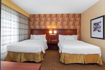 Suite, 1 Bedroom, Balcony
