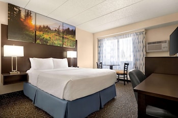 Double Room, 1 Double Bed