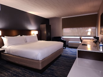 Standard Room, 1 King Bed, Accessible, Refrigerator
