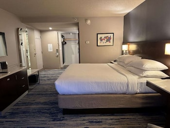 Standard Room, 1 King Bed, Non Smoking, Refrigerator