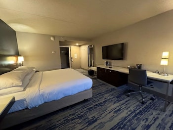 Standard Room, 1 King Bed, Non Smoking, Refrigerator (Larger Room)