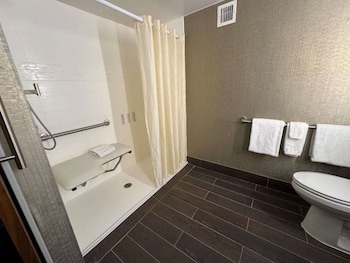 Standard Room, 1 King Bed, Accessible, Refrigerator