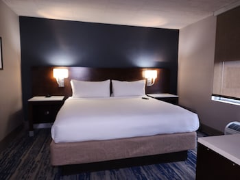 Suite, 1 King Bed, Non Smoking, Refrigerator (Separate Living Room;with Sofabed)