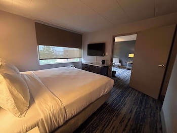 Suite, 1 King Bed, Non Smoking, Refrigerator (Separate Living Room;with Sofabed)