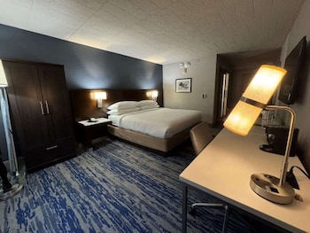 Standard Room, 1 King Bed, Accessible, Refrigerator