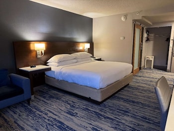 Standard Room, 1 King Bed, Non Smoking, Refrigerator (Larger Room)