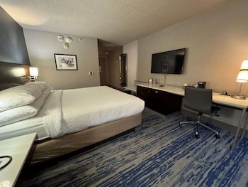 Standard Room, 1 King Bed, Non Smoking, Refrigerator