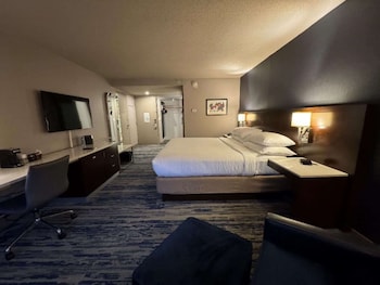 Standard Room, 1 King Bed, Non Smoking, Refrigerator