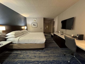 Standard Room, 1 King Bed, Non Smoking, Refrigerator