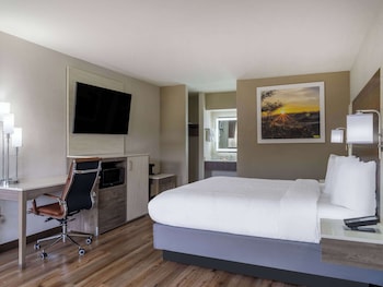Room, 1 King Bed, Accessible, Bathtub (Mobility )