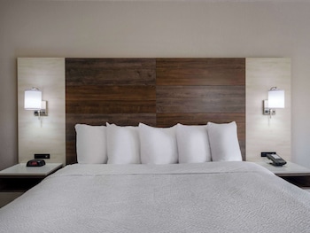 Room, 1 King Bed, Non Smoking