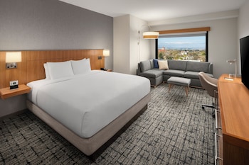 Room, 1 King Bed