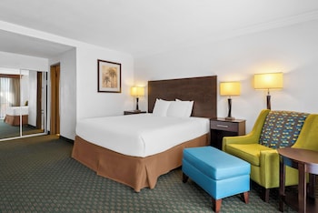 Standard Room, 1 King Bed, Non Smoking, Refrigerator & Microwave