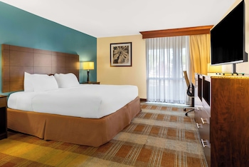 Standard Room, 1 King Bed, Accessible, Non Smoking