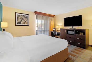 Standard Room, 1 King Bed, Accessible, Non Smoking