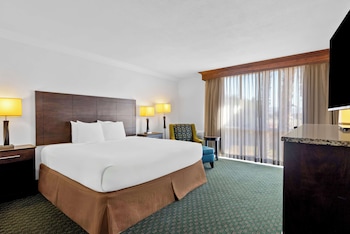 Standard Room, 1 King Bed, Non Smoking, Refrigerator & Microwave
