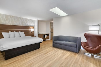 Standard Room, 1 King Bed, Non Smoking, Kitchen (Larger Room, Sofabed, Full Kitchen)
