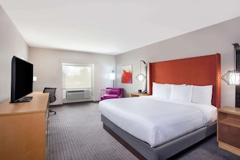 Room, 1 King Bed, Accessible, Non Smoking (Mobility/Hearing, roll-in shower)