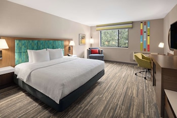 Room, 1 King Bed, Accessible (Roll-In Shower)