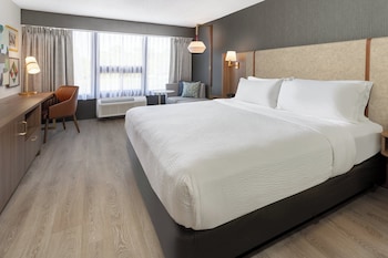 Standard Room, 1 King Bed (Allergen Treated)