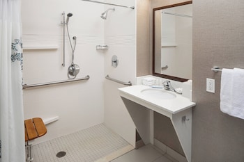 Studio, 1 King Bed with Sofa bed (Mobility Accessible, Tub)