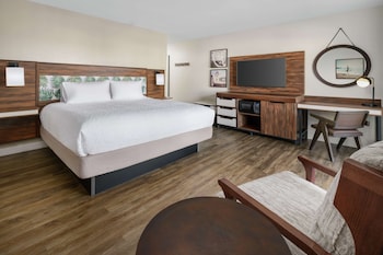 Room, 1 King Bed
