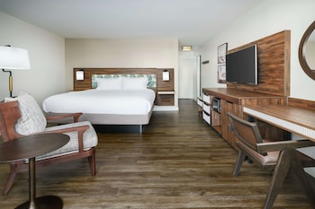 Room, 1 King Bed