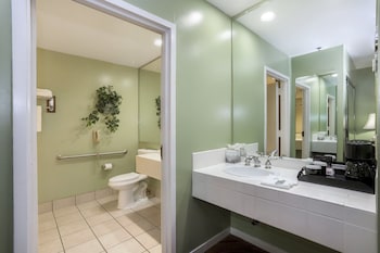 Deluxe Room, 1 King Bed Assessible